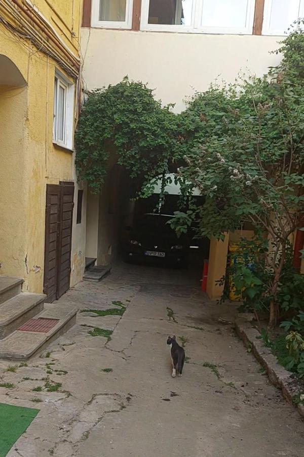 Apartament Diaconu Coresi Apartment Brasov Ngoại thất bức ảnh